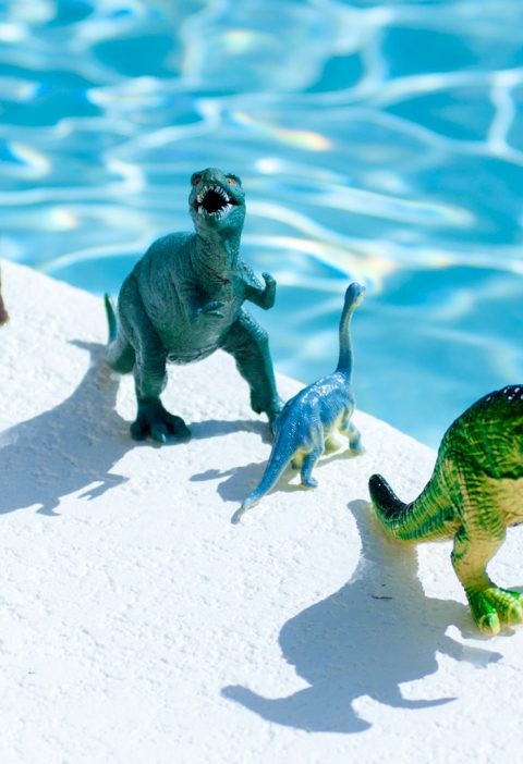Obtenir un devis construction piscine béton : étapes et conseils